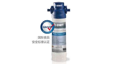 BWT Woda-Pure s超能係列糖心下载官网入口器